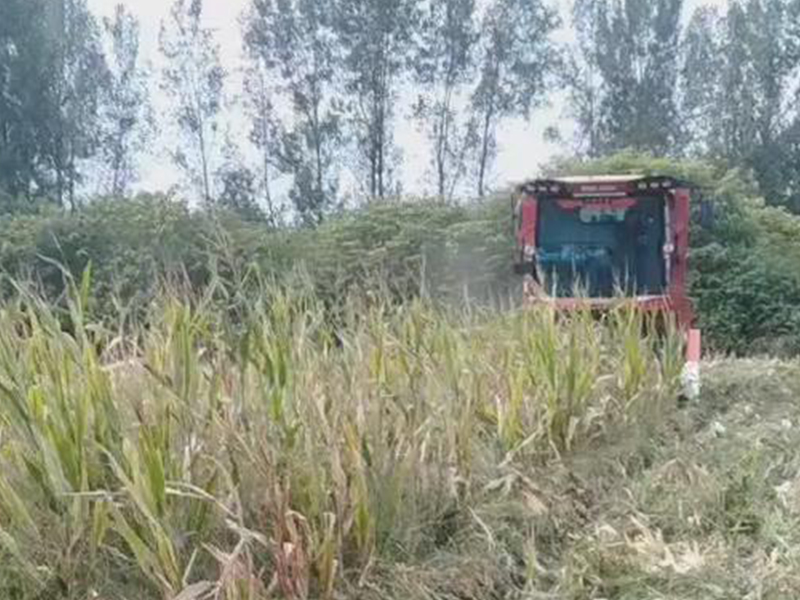 喜盈盈多功能雜糧割臺收割效果視頻